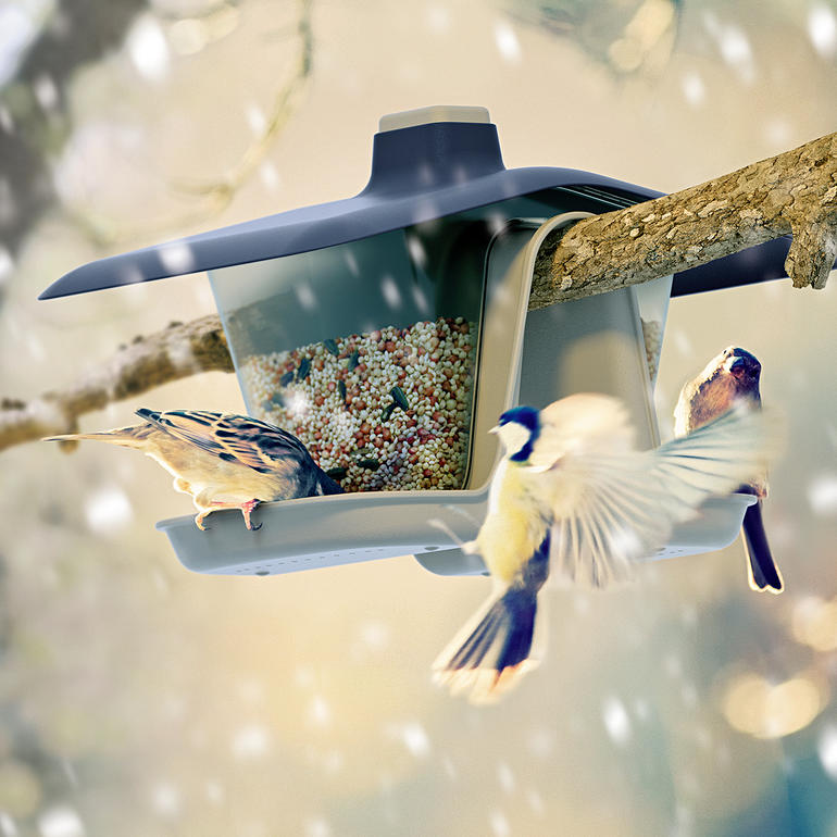 Maison de nourrissage pour oiseaux 'Multi' sur un arbre entourée d'oiseaux