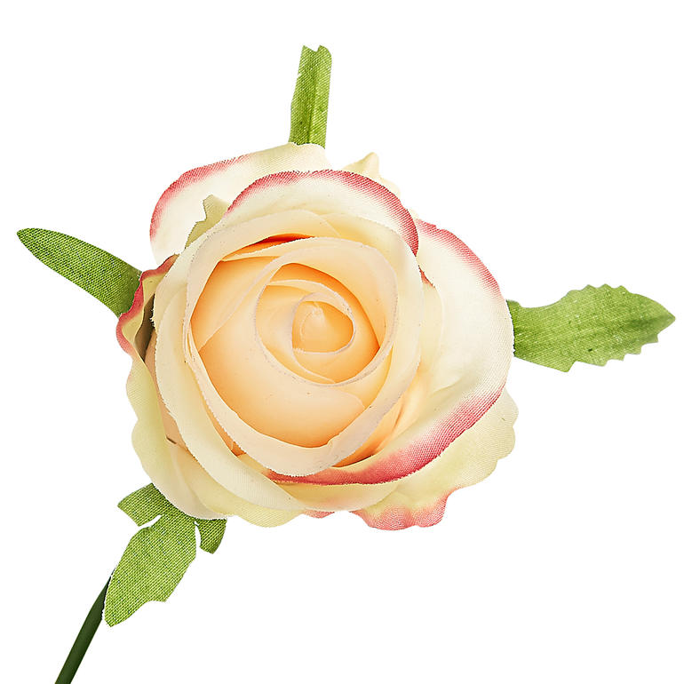 Les têtes de roses sont si réalistes, même de près, qu’on est tenté de les sentir. Rose aux couleurs douces avec des feuilles vertes