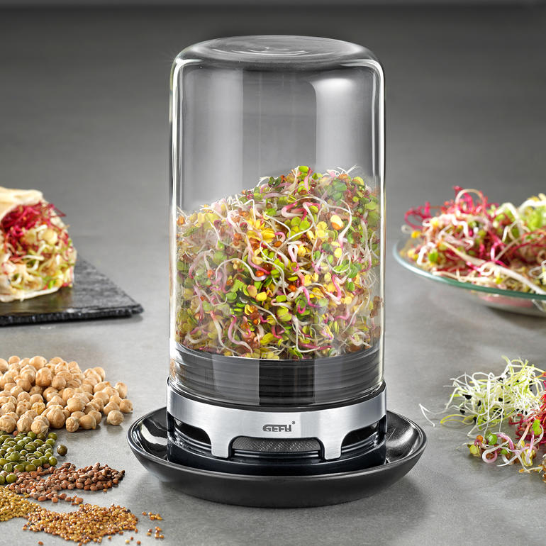 Bocal à germes Gefu avec des germes dans un récipient en verre.