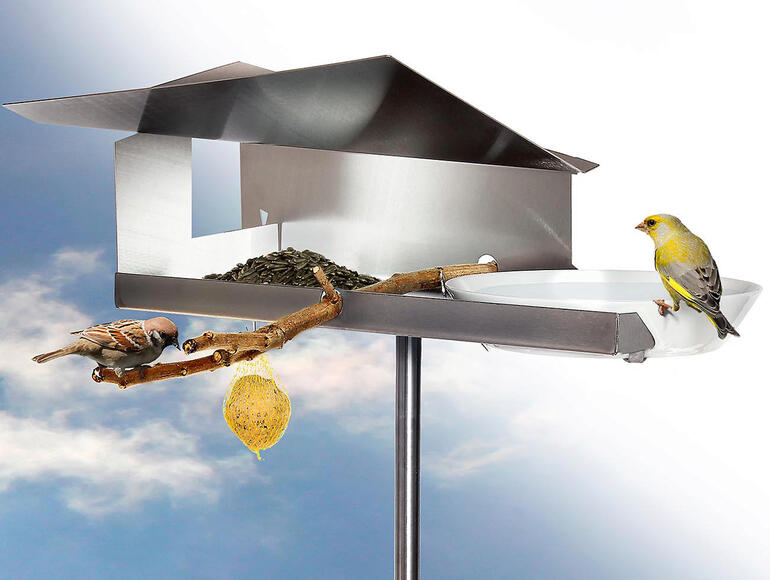 Nichoir avec deux moineaux et une station de nourrissage sur une branche et le ciel