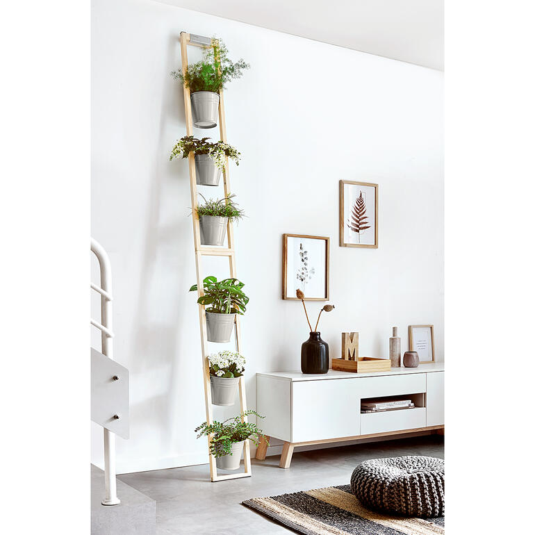 Échelle à plantes avec plusieurs pots contre un mur blanc