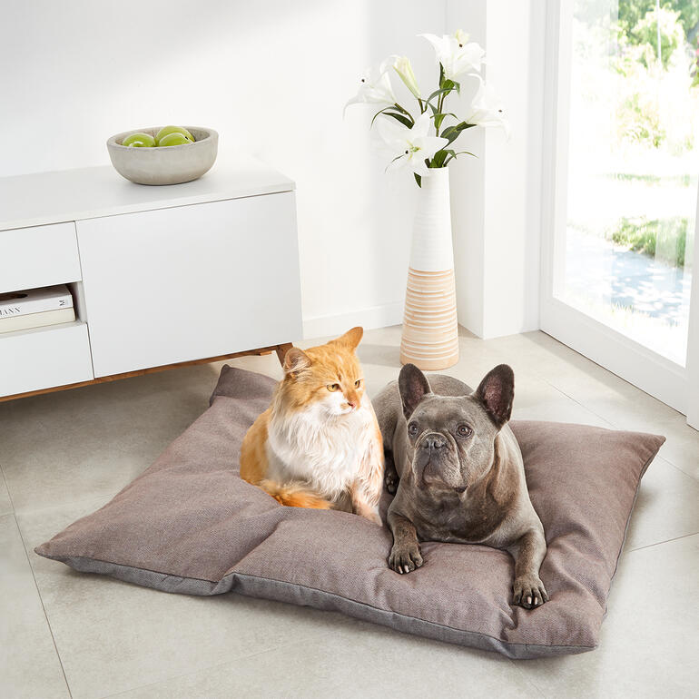 Coussin pour animaux avec un chien et un chat dessus