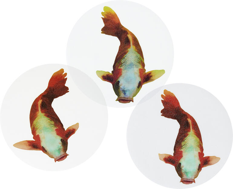 Motif koï, lot de 3 pièces Gros plan de trois tatouages antidérapants en forme de koi sur un fond clair.