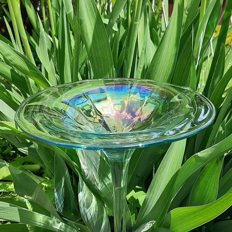 Bain d’oiseau arc-en-ciel en verre Bain d'oiseaux en verre arc-en-ciel au milieu de grandes plantes.