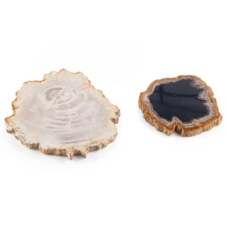 Dessous de plat en bois fossilisé, lot de 2 pièces Deux sous-verres en bois dans différents motifs.