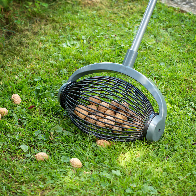 Petit collecteur à roulettes UPP® pour ramasser des noix sur l'herbe.