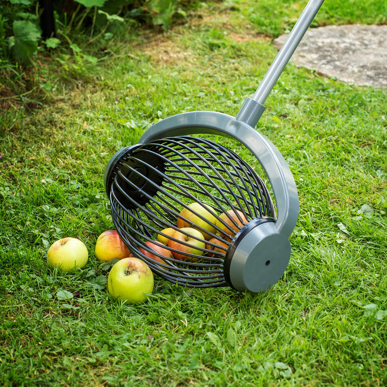 Grande tête Grand collecteur à roulettes UPP® pour ramasser des pommes dans l'herbe.