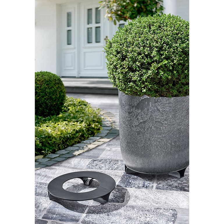 Belles jardinières avec soucoupes sur un chemin pavé.