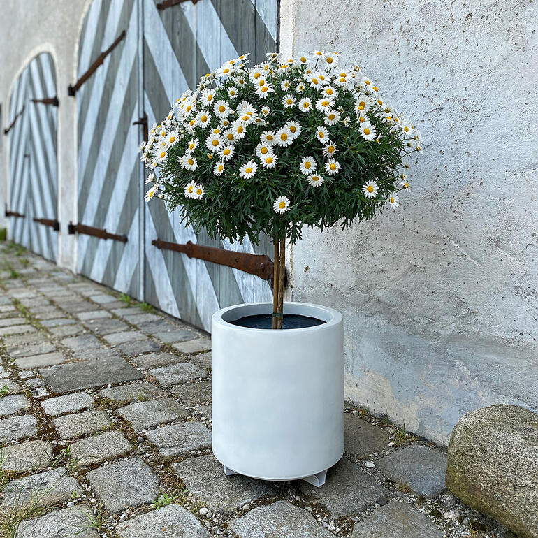 2 Lot Jardinière Soucoupes - Bambou Rond Fleur Pot Goute Plateaux Appliquer Pour Extérieur - 9
