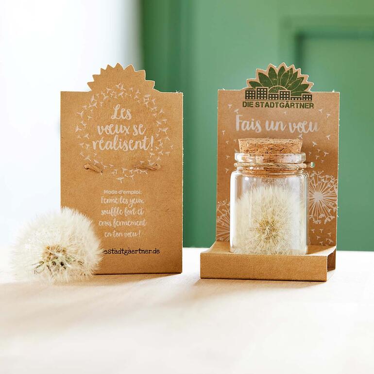 Glas contenant un pissenlit et des cartes pour exprimer des souhaits.