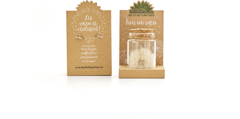 Réalisateur de voeux (pissenlit dans un verre) Réaliseur de voeux sur une base en carton.