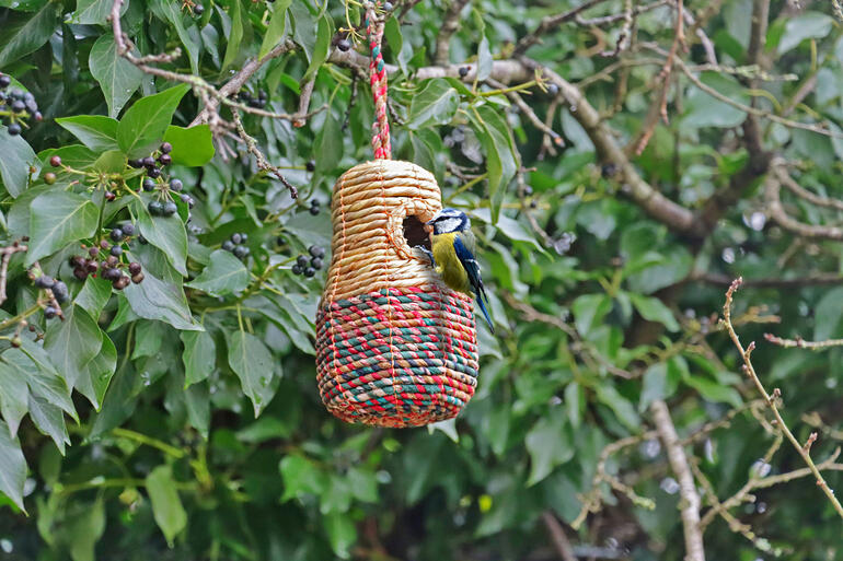 Forme de cloche Nid d'oiseau Artisan en forme de cloche, suspendu à un arbre avec un mésange
