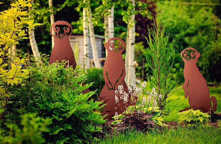 Ensemble de piquets de jardin suricates dans un jardin avec diverses plantes.