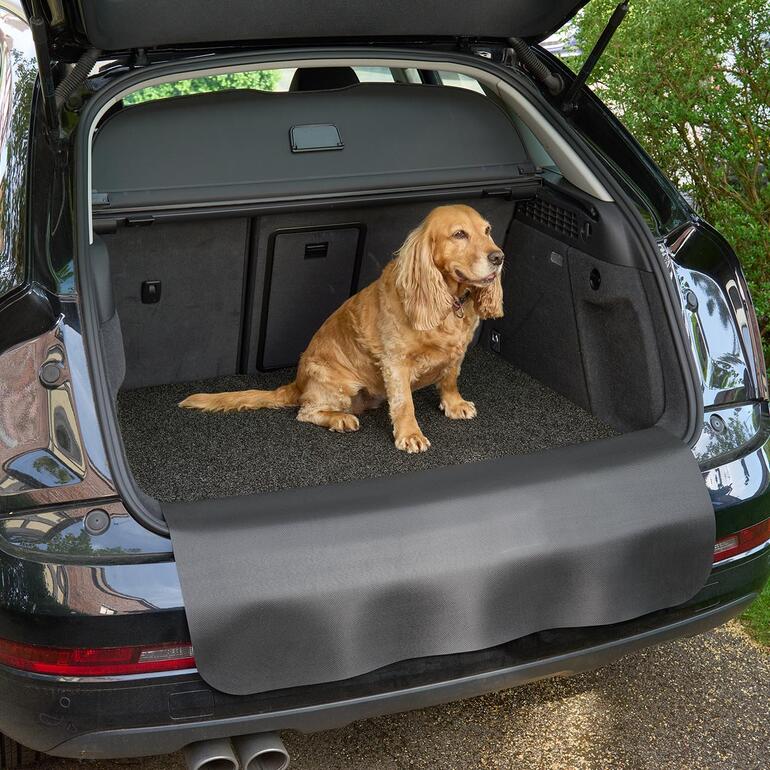 Chien assis sur un tapis de coffre dans la voiture