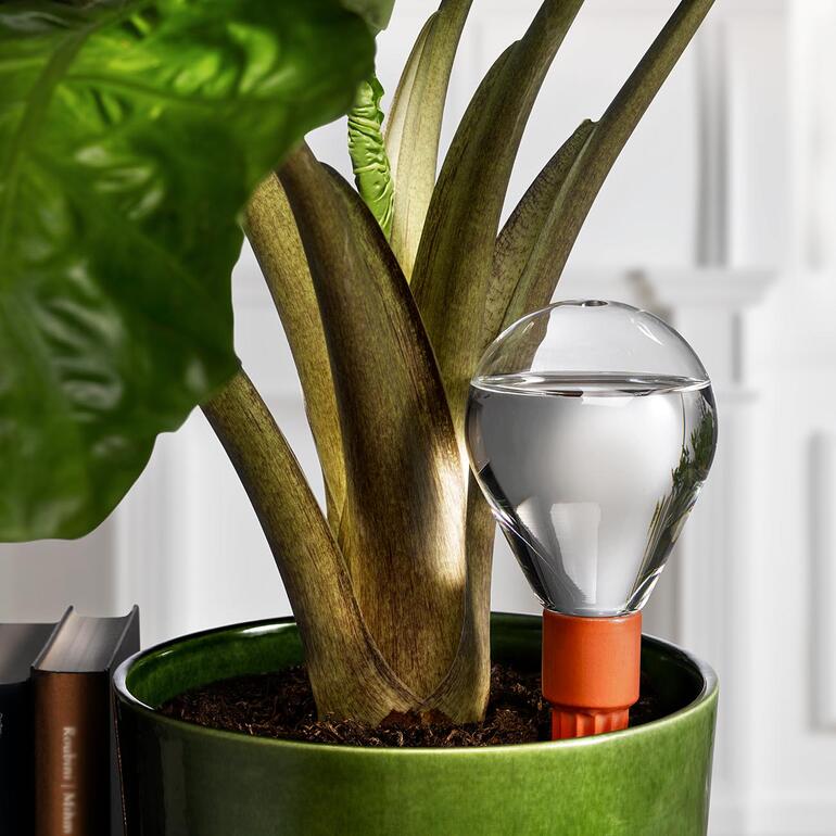 Set d'arrosage universelle avec boule d'eau dans un pot de fleurs