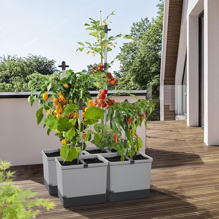Tour de plantes avec tomates et poivrons sur un balcon