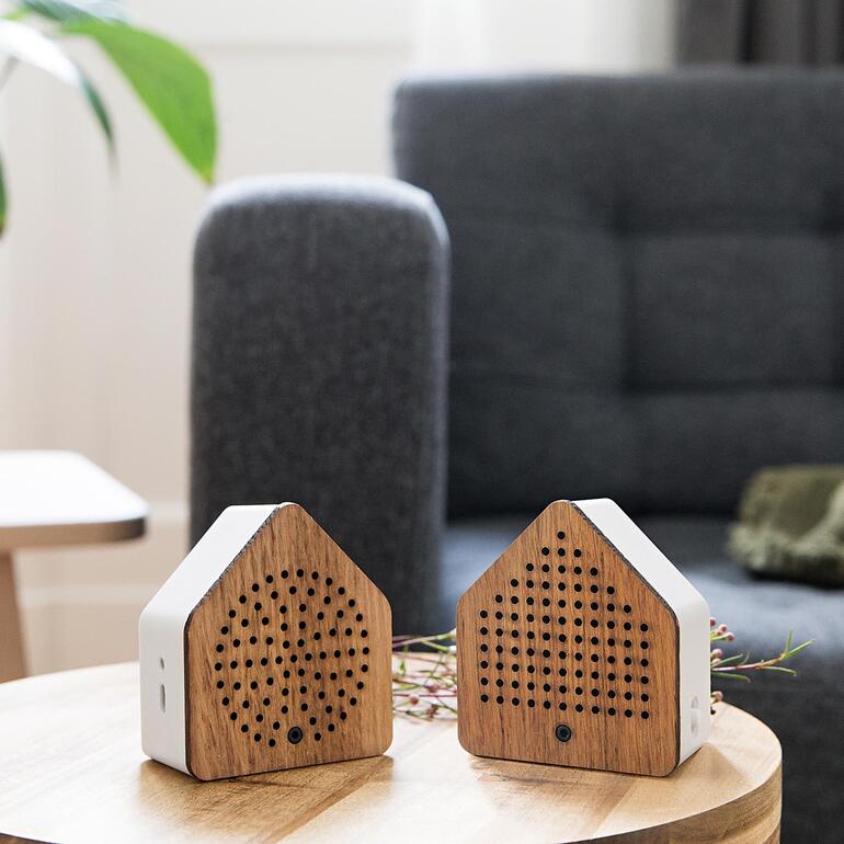 Zirpybox, ensemble de 2 sur une table avec un salon minimaliste en arrière-plan.