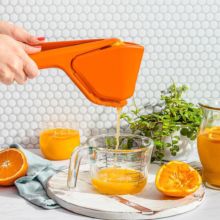 Presse-Agrumes Manuel En Verre Et Inox 480ml - Extracteur De Jus Portable Avec Couvercle