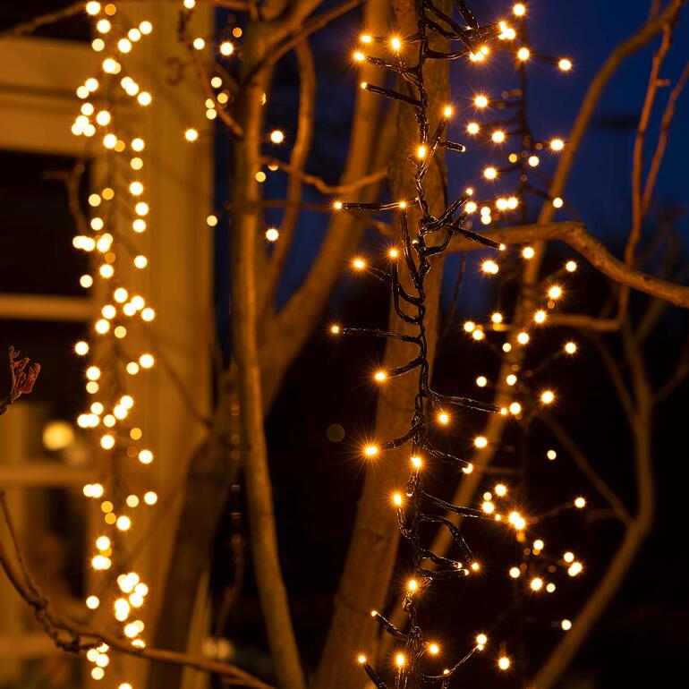 Guirlande lumineuse en cascade illuminant un arbre au crépuscule