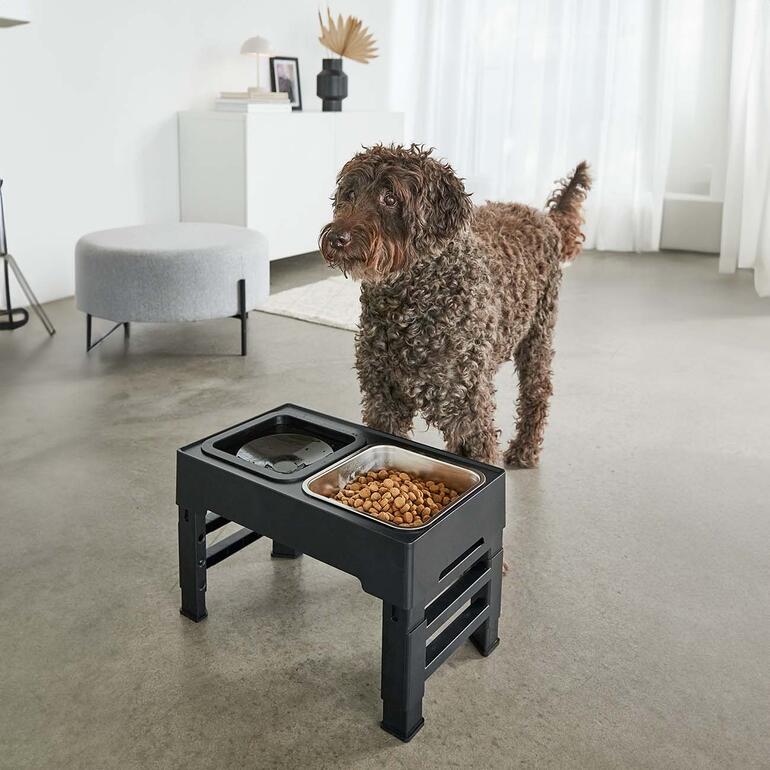 Bol alimentaire Vario noir avec un chien attendant de manger.