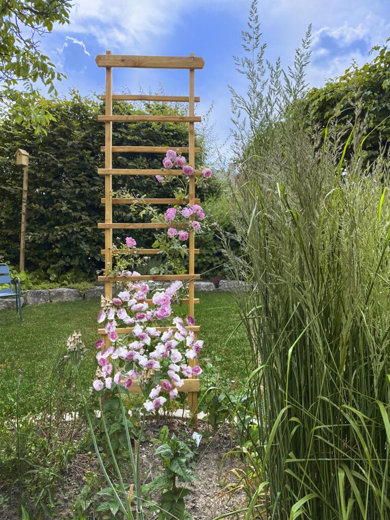 Tuteurs en bois stables dans le jardin, entourés de fleurs.