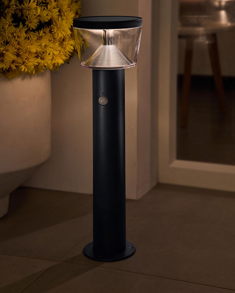 Lumière de sol solaire avec un abat-jour transparent dans le jardin