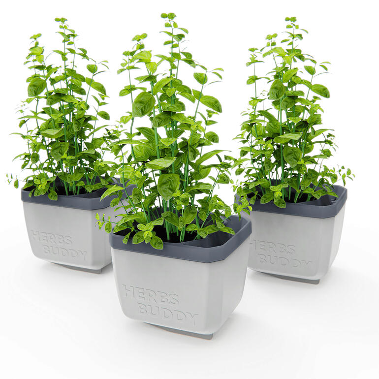 Trois pots à herbes gris avec différentes herbes.