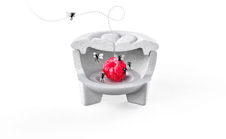 Les mouches des fruits sont tout simplement attirées par un morceau de fruit recouvert de vinaigre et capturées vivantes. Piège à mouches en porcelaine avec un fruit rouge et des mouches sur une surface blanche.