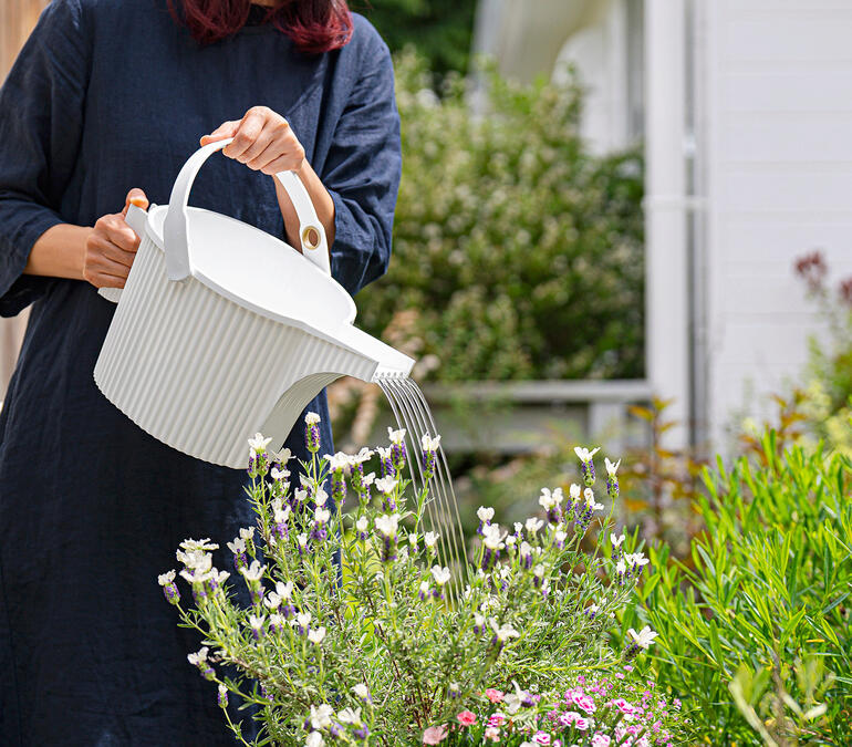 Arrosoir Femme arrose des fleurs avec un arrosoir dans le jardin