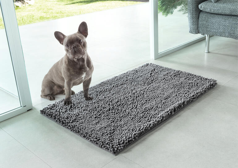 Chien sur un tapis de nettoyage pour animaux devant une porte vitrée.