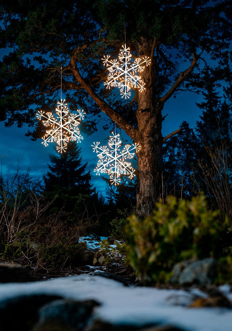 Des lumières en forme de flocons de neige pendent à un arbre dans un paysage hivernal.