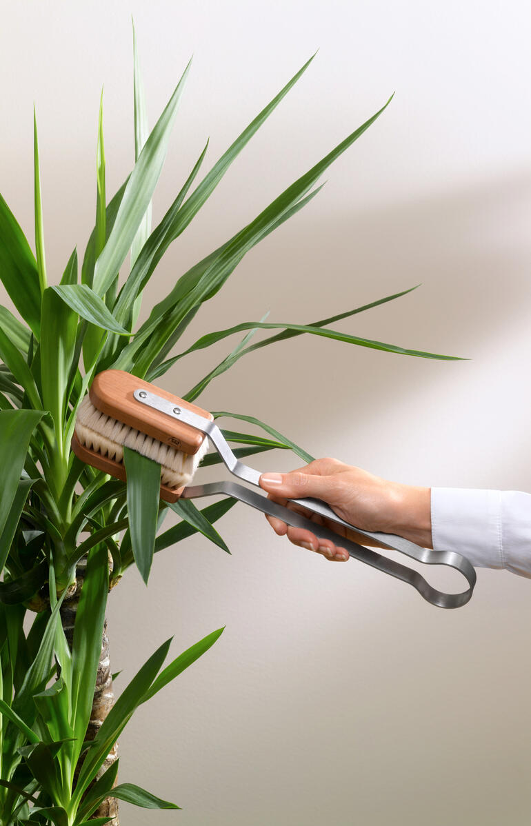 Brosse à feuilles utilisée sur une plante