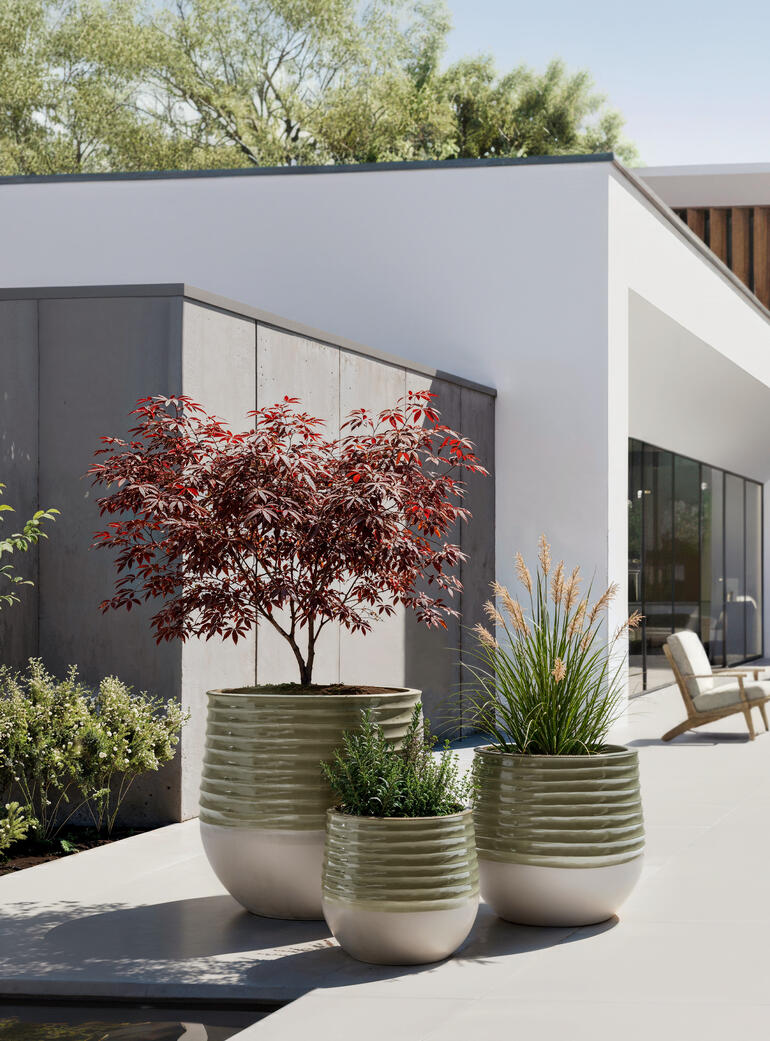 Trois pots en céramique sont placés sur une terrasse avec des plantes.