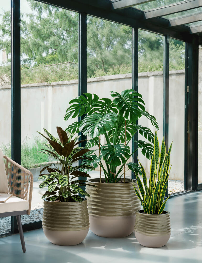 Trois pots design en céramique avec des plantes différentes sont placés dans la pièce.