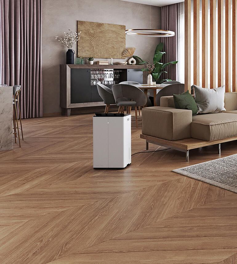 Lukas Pro dans un intérieur moderne avec un sol en bois et des plantes.