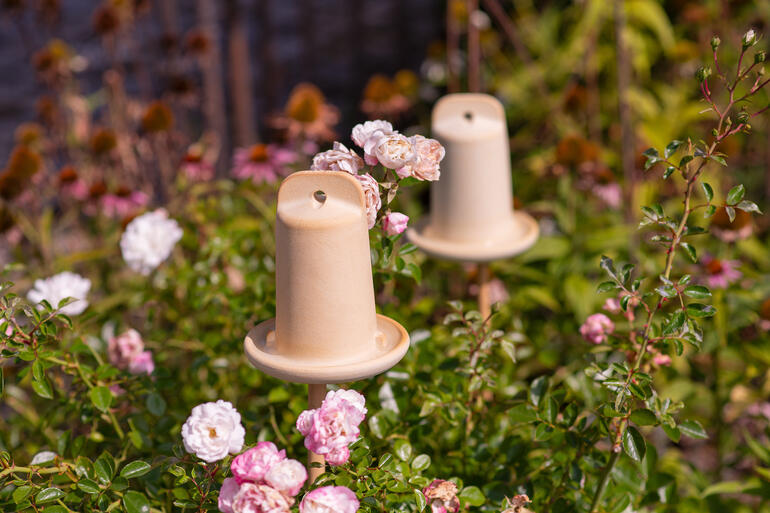 Trois maisons à insectes 3-en-1 décoratives dans le jardin entre des fleurs de rose.