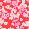 Corail/Multicolore